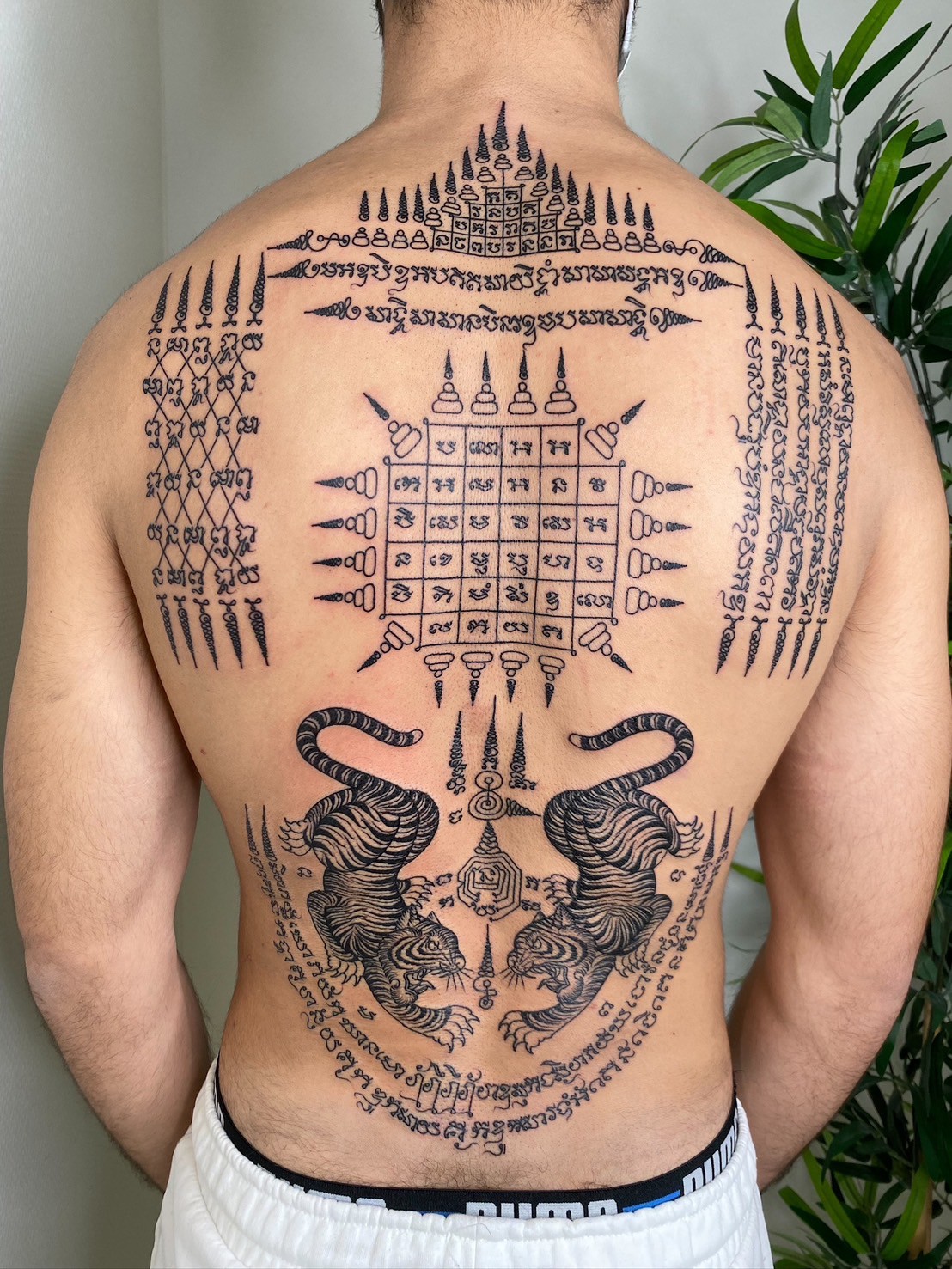Sak Yant twin tiger full back tattoo